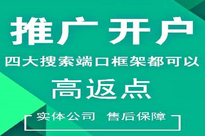 SEM服务优势案例分享